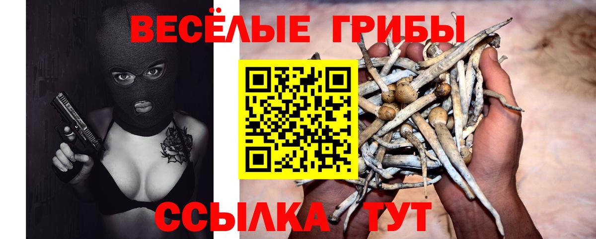 Галлюциногенные грибы Psilocybine cubensis Выкса